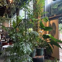   at Mr Watson in Amsterdam