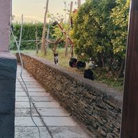  at In Gattaia Vegan Home Restaurant in Genoa