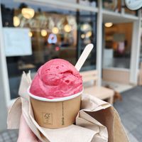Plum Sorbet - vegan at Patti's & Cream Diner in Dunedin