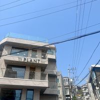  at Plant Bakery Cafe (HBC) in Seoul