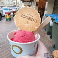 Raspberry Apricot Sorbet - takeaway at Blue Cockatoo Dessert Bar in Dunedin