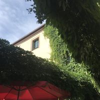 Super schöner Innenhof zum Draußen sitzen  at brennNessel in Dresden