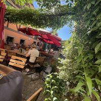   at brennNessel in Dresden