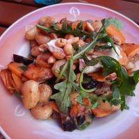  at brennNessel in Dresden