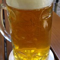 Pale Ale von Maisel und seinen Freunden at brennNessel in Dresden