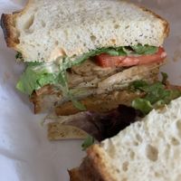   at Diesel Cafe in Somerville