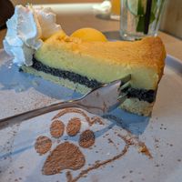 Mohncheezecake at Katzentempel München Freiham in Munich