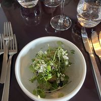 Potato with trumpet caps & croutons (vegan version)  at Norrlyst i Tårnet in Copenhagen