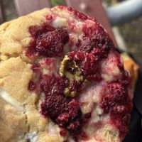 Raspberry and pistachio cookie  at Queen Pea in Balmain