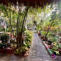 Garden   at Baan Boon Homestay  in Krung Thep Maha Nakhon