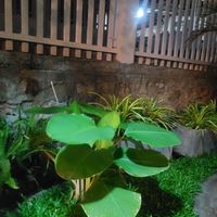  at Reunion Cafe Luang Prabang in Luang Prabang