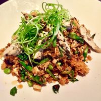 Fried rice meal at Yard House in Orlando