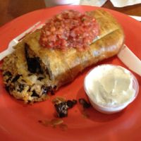 Veggie enchilada with vegan cheese and vegan sour cream. at Burrito Perdido in Chesapeake
