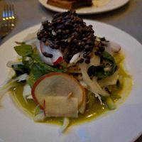 Fennel, lentil, and fermented apple salad at Cotell Cologne in Cologne