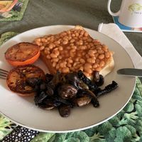 Beans, tomato and mushrooms on toast at Bed and Broccoli in Elphinstone