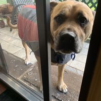Khan likes to visit  at Bed and Broccoli in Elphinstone