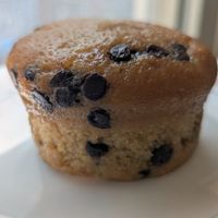Vegan chocolate chip muffin at Paris Baguette in St Louis