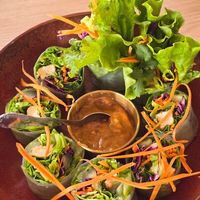 Fresh Spring Rolls at Nua Thai Cuisine in Roseville