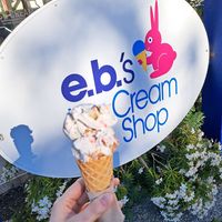 2 flavours in a waffle cone at E.B.'s Ice Cream in Sechelt