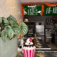   at Scoops in The Hague