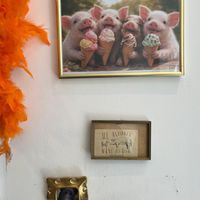   at Scoops in The Hague
