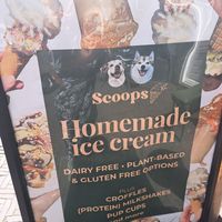  at Scoops in The Hague