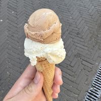   at Scoops in The Hague
