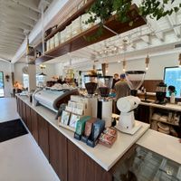 Coffee Bar at Stellow Coffee & Floral in Chamblee