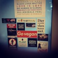 Go vegan at VegaVerso in Leuven
