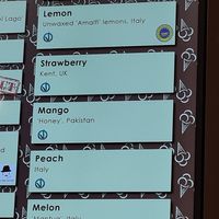 Vegan flavour options at Gelato Village in Leicester