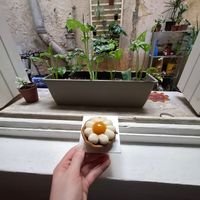  at Perle en Sucre in Montpellier