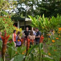 Medicinal plant tour at Finca Ganadito in Costa Rica at Unruly Travel Group Trips - Berlin in Berlin