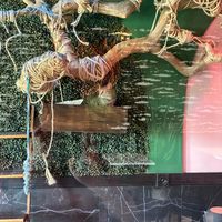 Place   at Cara's Cat Cafe in Destin