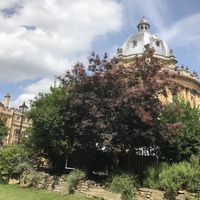 View of the Radcliffe Camera from the garden at Vault & Garden, Oxford at Vaults and Garden in Oxford