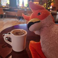 A vegan americano coffee with oat milk (photo of my plushy included) at WANDER Berkshires in Pittsfield