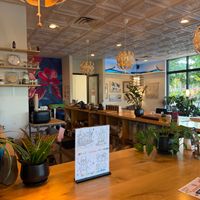  at Plant Bar - Coffee and Tea in Chattanooga