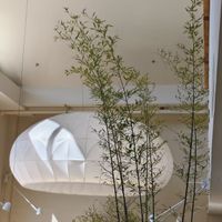 The interior design is artistic and stylish, with an Eastern aesthetic.
设计艺术时尚具有东方美学风格。  at Yunting - 昀庭中餐厅 in Beijing