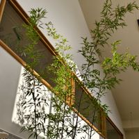  at Yunting - 昀庭中餐厅 in Beijing