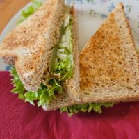 Flipper-Sandwich at Black Veg in Bonn