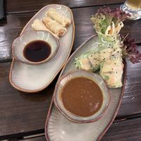Starters: Summer Rolls with Tofu and Buddha Rolls with Seitan  at Com Ba Mien Bad Kreuznach in Bad Kreuznach