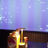 360° round deep sea animation at DonMono  in Vienna