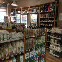 inside  at The Honey Tree in Newcastle Upon Tyne