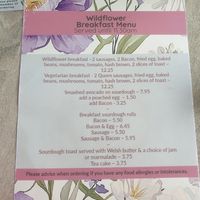  at Wildflower Café and Garden Centre in Swansea