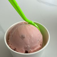 Ice cream   at Frozen Bloom Creamery & Coffee in Destin
