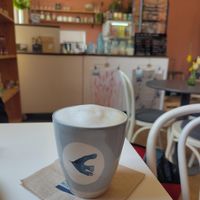 Oat milk cappuccino at WANDERBIRD Kiosk in Chorin