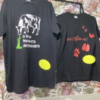   at 'O Grin in Naples