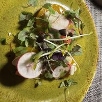 Golden beets cooked in apple cider vinegar, vegan feta, radish, hearts of palm and grapefruit.   at Marmalade in San Juan