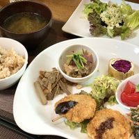 fried wheat gulten bread, rolled fried tofu with purple cabbage, Shimeji mushrooms with grated radish, Braised burdock with miso, Marinated beets and tomatoes , etc  at Vege Cafe Lotus in Toyohashi