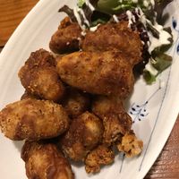 Soy meat fried at Vege Cafe Lotus in Toyohashi