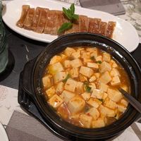 Mapo tofu (below average) and tofu rolls at Meishimeike-Anatra alla pechinese Torino in Turin